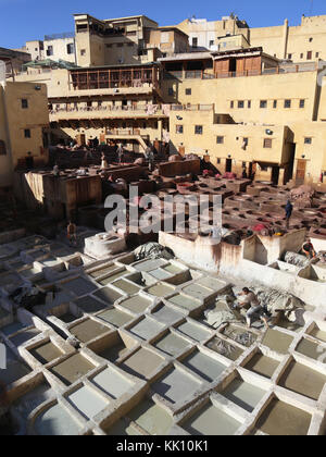 Tannerie chouwara à Fès, Maroc Banque D'Images