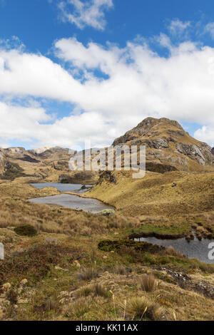 L'Equateur Paysage - Cajas National Park ( Parque Nacional Cajas ), Southern Highlands, Equateur, Amérique du Sud Banque D'Images