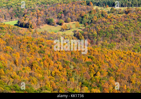 Depuis le sommet de Spruce Knob point le plus élevé de la Virginie de l'ouest à la recherche de l'autre côté de la vallée des Appalaches Banque D'Images