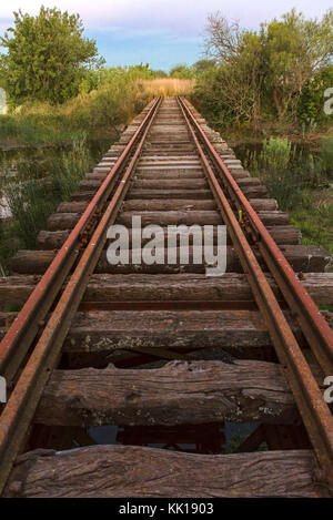 Ancienne ligne de chemin de fer dans les pampas d'Argentine. Rosas, l'Argentine. Banque D'Images