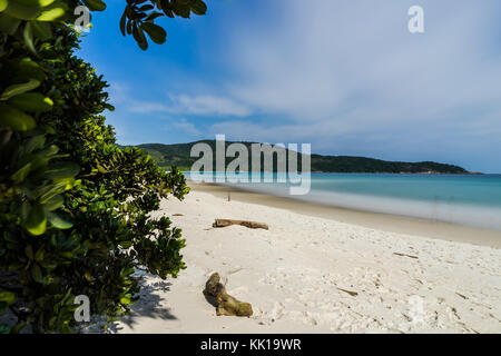 Photo prise à Ilha Grande, Brésil Août 2017 : Exposition longue plage de Lopes Mendes à Ilha Grande, au sud de Rio de Janeiro, Brésil Banque D'Images