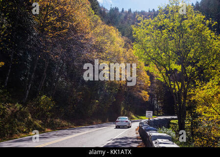 Parc national des Great Smoky Mountains. Banque D'Images