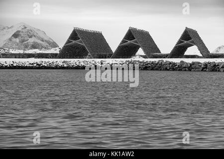 Hjells-a pans énormes racks en bois avec têtes de morues séchant sur la quai couvert de neige de son port de pêche. nordheia sandsmannen-supports-hoven de gimsoya isl Banque D'Images