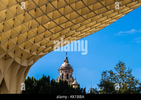 Metropol Parasol (Setas de Sevilla, Séville, champignons), sculpture en bois par Jürgen Mayer, 2011, Plaza de la Encarnación, Séville, Andalousie, Espagne Banque D'Images