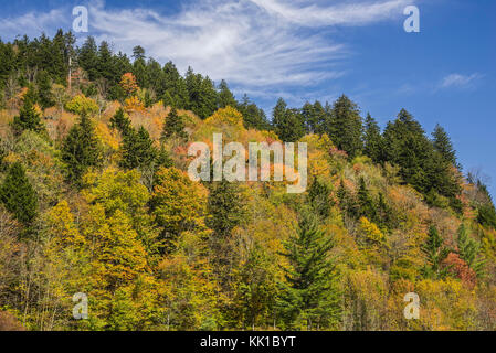 Parc national des Great Smoky Mountains. Banque D'Images