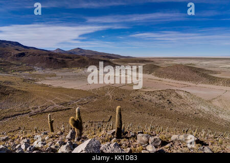 Photo prise en août 2017 dans l'Altiplano Bolivie, Amérique du Sud : vue sur le désert de l'Altiplano bolivien d'Atacama Banque D'Images