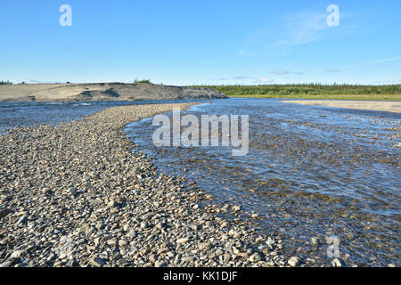 L'été dans l'Oural polaire, la rivière du nord paysage eau sob.. Banque D'Images