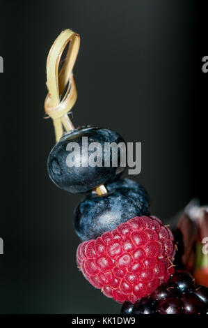 Prunellier, Blackberry, de bleuet et de framboise dans une brochette de décorer un gâteau Banque D'Images