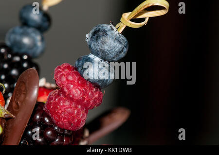 Prunellier, Blackberry, de bleuet et de framboise dans une brochette de décorer un gâteau Banque D'Images