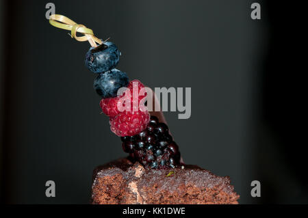 Prunellier, Blackberry, de bleuet et de framboise dans une brochette de décorer un gâteau au chocolat végétalien Banque D'Images