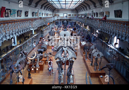 PARIS MUSEUM NATIONAL D'HISTOIRE NATURELLE - GALERIE DE PALEONTOLOGIE ET LISAA - PARIS JARDIN DES PLANTES - ARGENT FILM © Fédéric BEAUMONT Banque D'Images