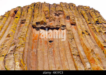 Les colonnes basaltiques de Devils Tower dans le Wyoming Banque D'Images