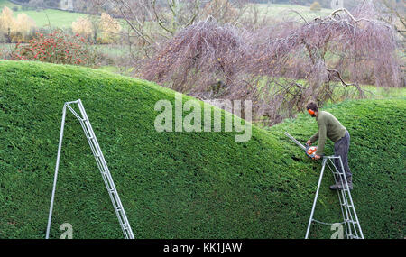 La taille au début de l'hiver Banque D'Images