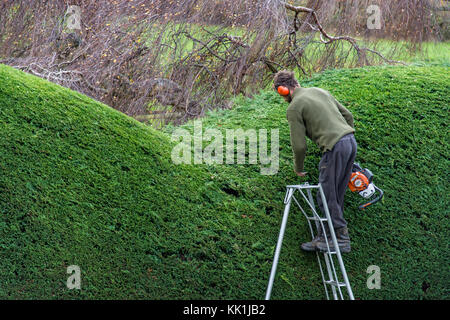 La taille au début de l'hiver Banque D'Images