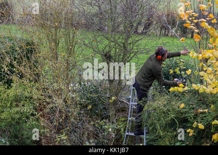 La taille au début de l'hiver Banque D'Images
