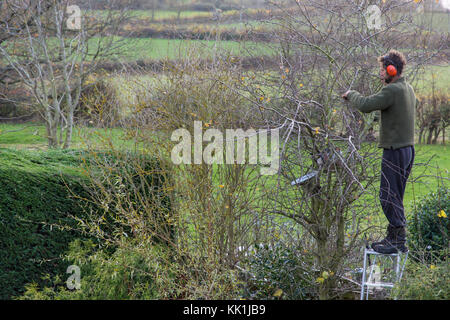 La taille au début de l'hiver Banque D'Images