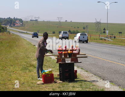 Johannesburg, Afrique du Sud - un des jeunes non identifiés d'automobilistes vend des mangues dans une tentative de générer quelque revenu que le chômage est très répandu Banque D'Images