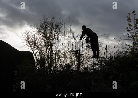 La taille au début de l'hiver Banque D'Images
