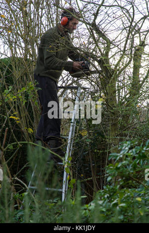 La taille au début de l'hiver Banque D'Images