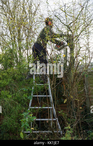 La taille au début de l'hiver Banque D'Images