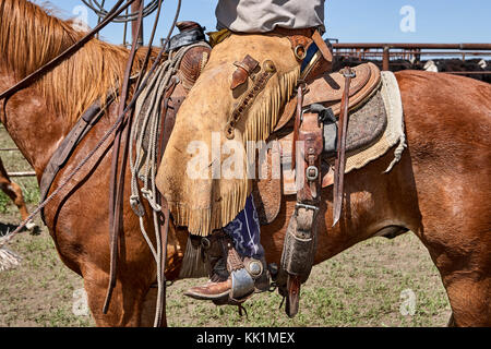 Méconnaissable homme portant des jambières et des bottes de cow-boy plumeuse tout en restant assis sur la selle de cuir attaché à cheval brun Banque D'Images
