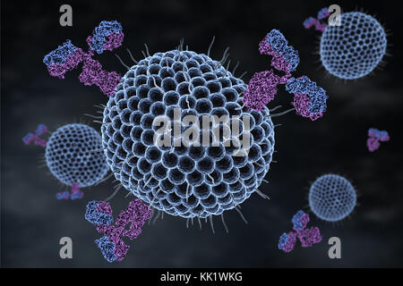Les virus de l'herpès et les anticorps. 3d illustration Banque D'Images