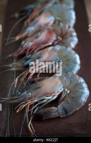 Grosses crevettes non cuites dans des obus sur la tablette de pierre. Le format Portrait. Profondeur de champ. Banque D'Images