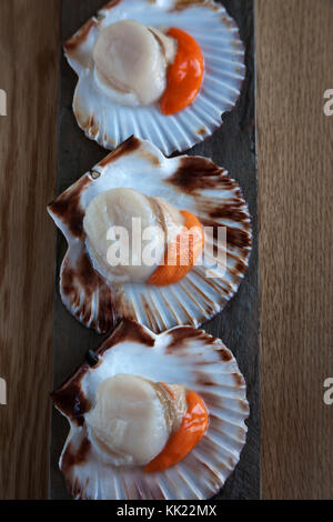 Trois roi de pétoncles avec corail en demi-coquilles sur base de pierre. Portrait format vertical. Banque D'Images