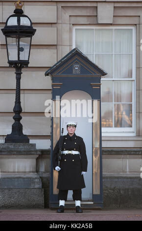 Buckingham Palace, London, UK. 26 novembre, 2017. La Marine royale constitue l'imprimeur de la garde à Buckingham Palace pour la première fois en 357 ans. Banque D'Images