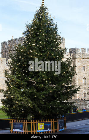 Windsor, Royaume-Uni. 27 nov, 2017. Un arbre de Noël présenté à la ville de Windsor par la ville allemande de guanaco à l'extérieur du château de Windsor. crédit : mark kerrison/Alamy live news Banque D'Images