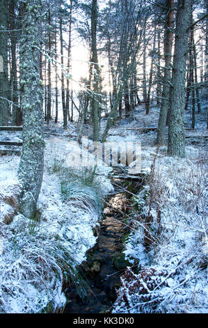 En hiver glenlivet Banque D'Images