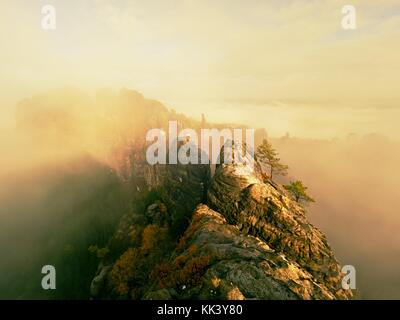 Soir après la pluie dans autumna suisse de Saxe. arbre coloré peaks est passé de paysage brumeux, de gros nuages dans le ciel. Banque D'Images