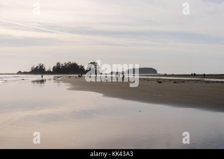 Tofino, BC, Canada - 9 septembre 2017 : plage de Chesterman à marée basse. Banque D'Images