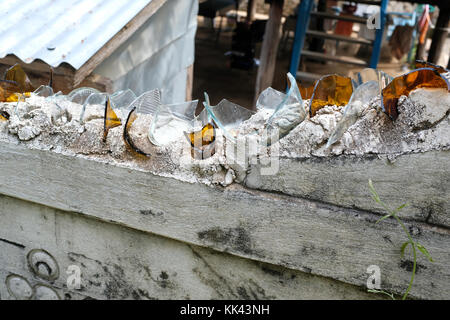 Les éclats de verre sur le dessus du mur comme une clôture de sécurité à Mandalay, Myanmar Banque D'Images