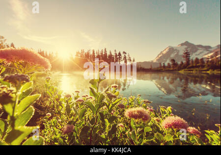 Photo panoramique lac avec le mont shuksan réflexion à Washington, USA Banque D'Images