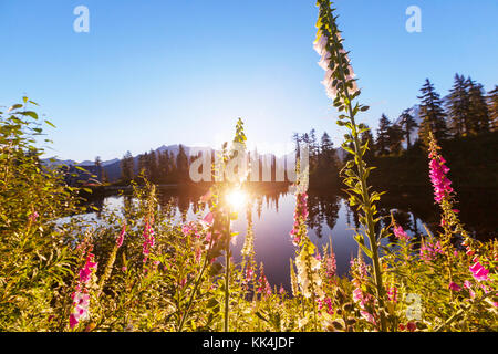 Photo panoramique lac avec le mont shuksan réflexion à Washington, USA Banque D'Images