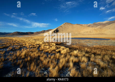 Lndscape stérile au lac Tso Kar, le Ladakh, le Jammu-et-Cachemire, en Inde. Banque D'Images