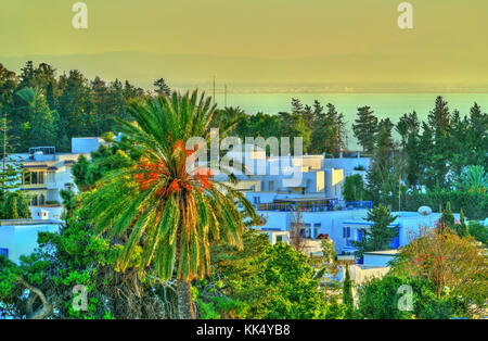 Vue de Sidi Bou Saïd, un village près de Tunis, Tunisie Banque D'Images