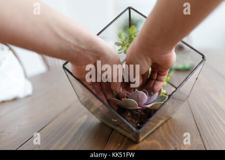 Image de la femme's florist montrant master class sur faire florarium Banque D'Images