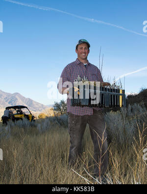 Jace bénévoles Taylor porte plantes durant un projet de mise en valeur des terres, Hill Air Force Base, Utah, Novembre 9, 2017. Les semis ont été plantés sur une ancienne décharge de fournir une source de nourriture pour la faune de la base de la population. (U.S. Air Force photo de R. Nial Bradshaw) Banque D'Images