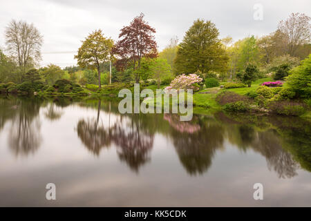 Dans les jardins d'azalées asticou style japonais dans la région de Mount Desert Island, dans le Maine. Banque D'Images