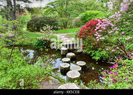 Dans les jardins d'azalées asticou style japonais dans la région de Mount Desert Island, dans le Maine. Banque D'Images