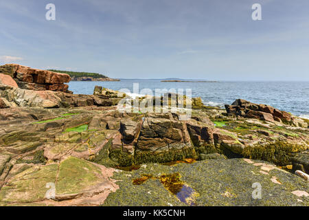 La côte rocheuse dans l'Acadia national park, Maine, près de Thunder hole dans l'été. Banque D'Images