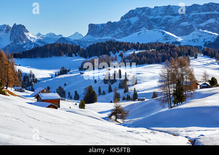 Lever de soleil sur l'hiver Alpe di Siusi Dolomites, Italie Banque D'Images