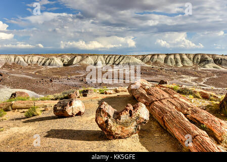 La forêt de cristal dans le parc national de la forêt pétrifiée de l'Arizona. Banque D'Images