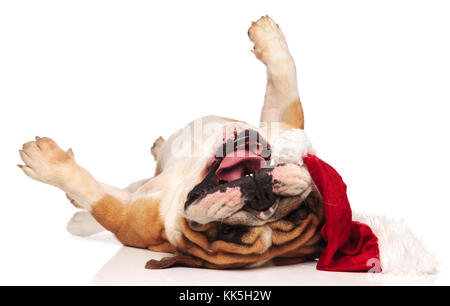 Heureux bulldog Anglais wolling sur son dos, tout en portant un chapeau de Père Noël sur fond blanc Banque D'Images