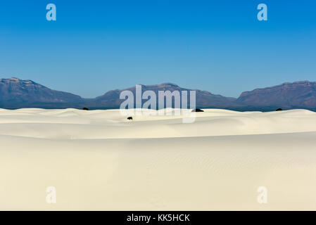 White Sands national monument dans le Nouveau Mexique. Banque D'Images