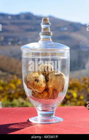 La truffe blanche magnifique à l'intérieur d'un bocal en verre transparent, sur le fond les collines fantastique avec des vignes à l'automne Banque D'Images