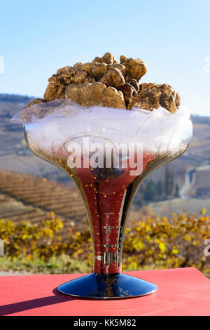 La truffe blanche magnifique des Langhe, Piémont Italie, au-dessus d'une tasse, en bas la fantastique collines avec des vignes à l'automne Banque D'Images