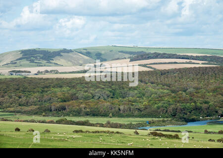 Friston forest et de l'avant vers le bas de l'autre côté de la vallée cuckmere dans le Sussex. Banque D'Images